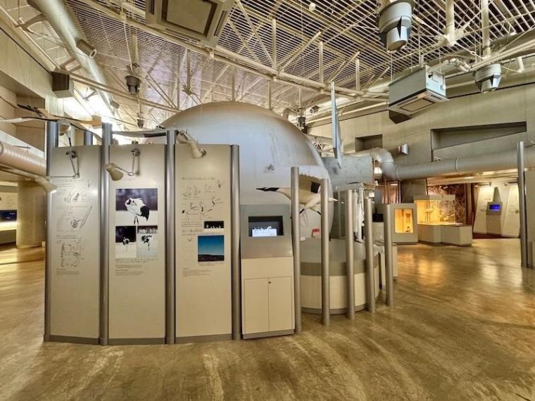 「思わず息をのむ美しさ」ワンコイン以下で特別天然記念物に会える！「阿寒丹頂の里」