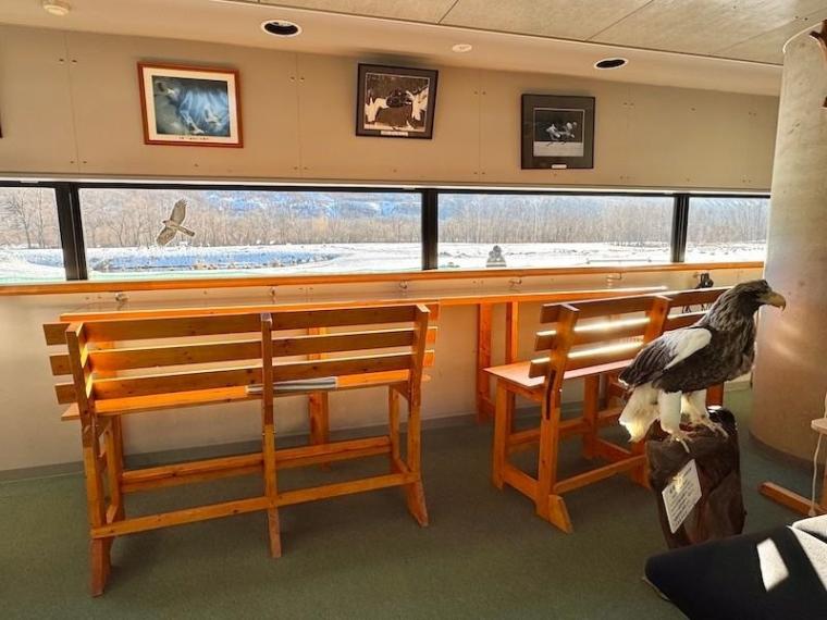 「思わず息をのむ美しさ」ワンコイン以下で特別天然記念物に会える！「阿寒丹頂の里」