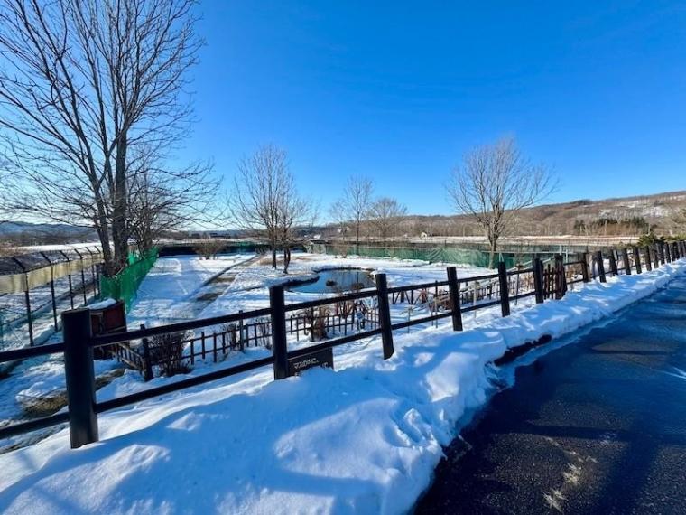 「思わず息をのむ美しさ」ワンコイン以下で特別天然記念物に会える！「阿寒丹頂の里」