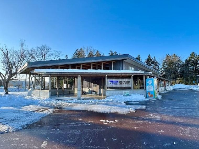 「思わず息をのむ美しさ」ワンコイン以下で特別天然記念物に会える！「阿寒丹頂の里」