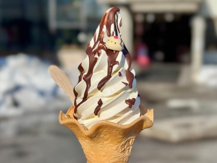 「思わず息をのむ美しさ」ワンコイン以下で特別天然記念物に会える！「阿寒丹頂の里」