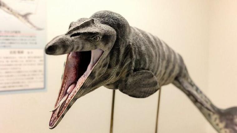 ティラノサウルスと並ぶ人気の新種が！子どもも夢中「大昔の海の底」へ行けちゃう冬の穴場スポットを獣医師ママライターが解説