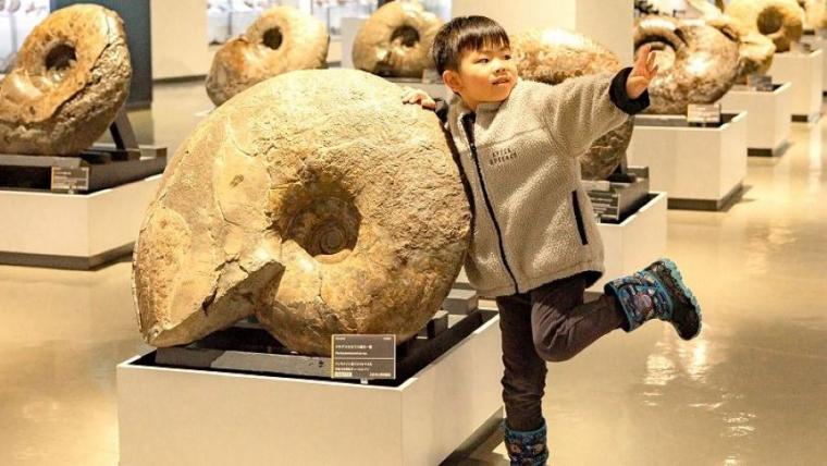 ティラノサウルスと並ぶ人気の新種が！子どもも夢中「大昔の海の底」へ行けちゃう冬の穴場スポットを獣医師ママライターが解説