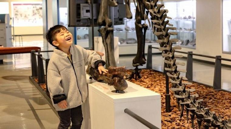 ティラノサウルスと並ぶ人気の新種が！子どもも夢中「大昔の海の底」へ行けちゃう冬の穴場スポットを獣医師ママライターが解説