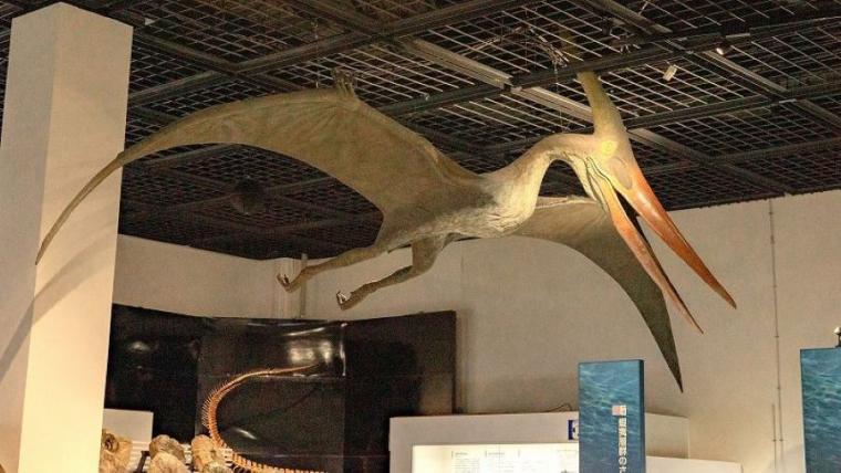 ティラノサウルスと並ぶ人気の新種が！子どもも夢中「大昔の海の底」へ行けちゃう冬の穴場スポットを獣医師ママライターが解説