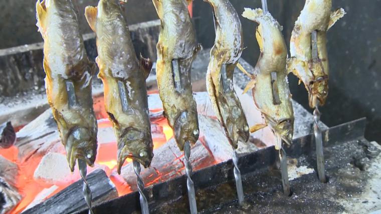 【富山】源泉かけ流し天然温泉と地物たっぷりの料理が自慢「福光医王山温泉 ぬく森の郷」癒しの日帰り温泉