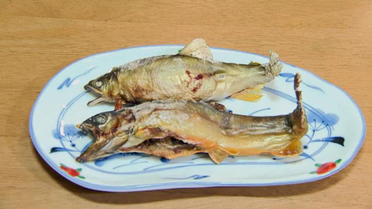 【富山】源泉かけ流し天然温泉と地物たっぷりの料理が自慢「福光医王山温泉 ぬく森の郷」癒しの日帰り温泉