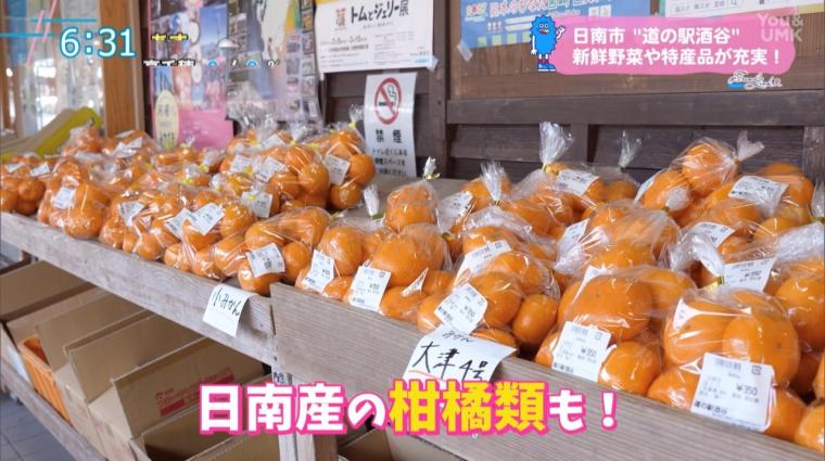 道の駅特集!! かやぶき屋根が魅力の「道の駅酒谷」（日南市）