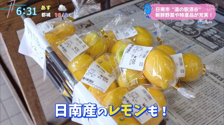 道の駅特集!! かやぶき屋根が魅力の「道の駅酒谷」（日南市）