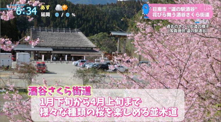 道の駅特集!! かやぶき屋根が魅力の「道の駅酒谷」（日南市）