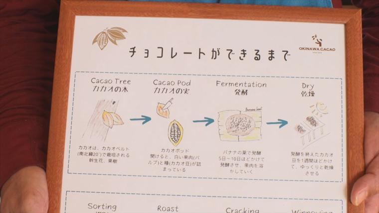 希少な沖縄県産カカオを使用！「OKINAWA CACAO Factory & Café」