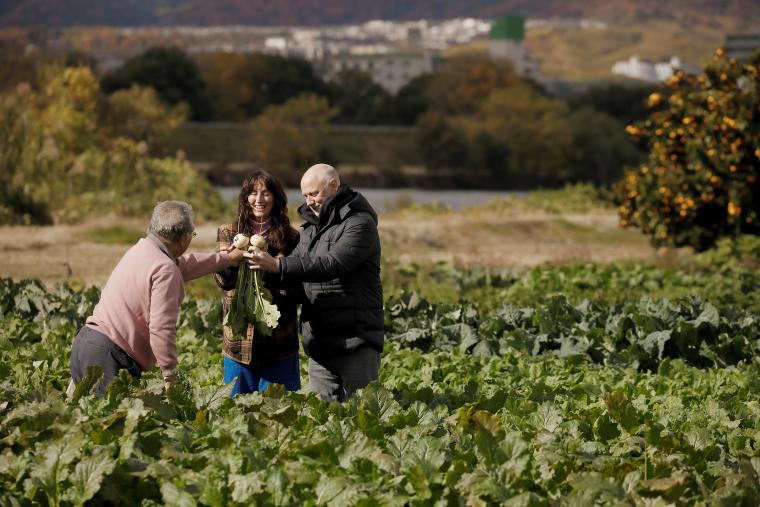 「シングルスレッド」コノートン夫妻