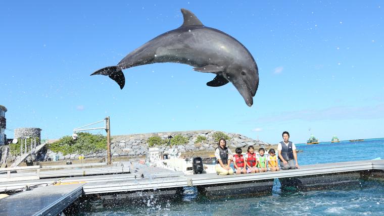 「ルネッサンス リゾート オキナワ」ドルフィンプログラム