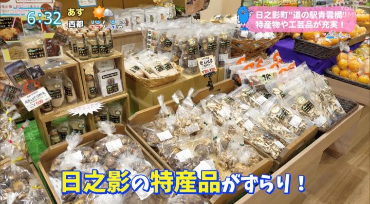 自然に囲まれた絶景スポット「道の駅 青雲橋」（宮崎県日之影町）