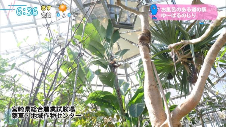 道の駅特集第 2 弾 温泉も楽しめる「道の駅 ゆ〜ぱるのじり」（宮崎県小林市）