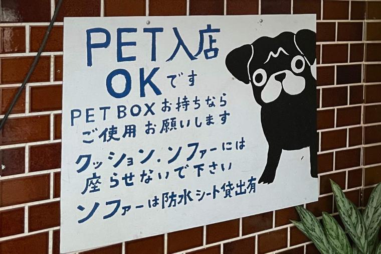 海を望む絶景×沖縄アート！「隠れ家カフェ清ちゃん」