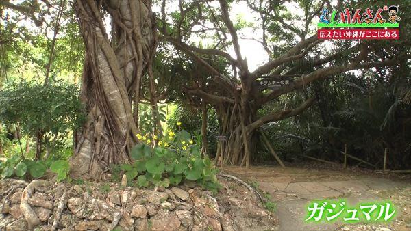 古き良き沖縄がここに全部ある！ぐしけんさんが琉球村で再発見した「本物の沖縄」