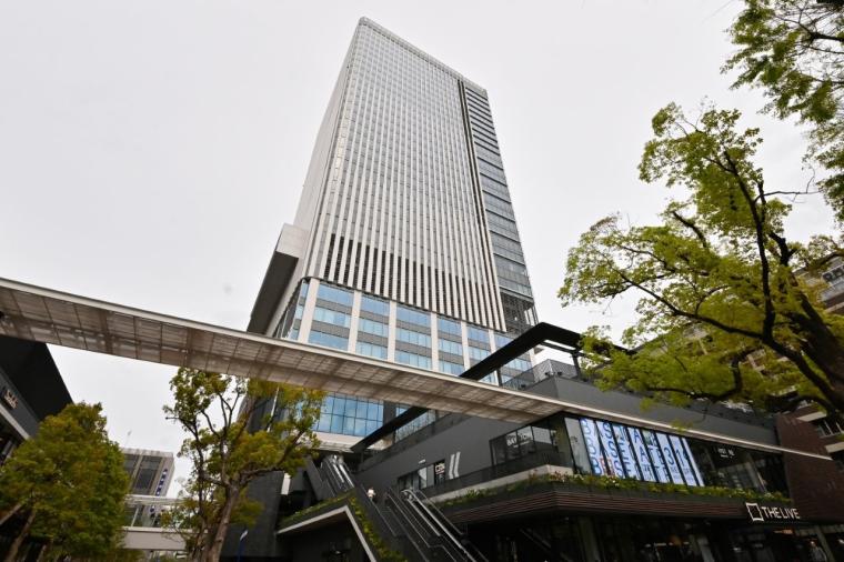 【横浜】話題の没入型ネイチャー施設「ワンダリア横浜」を体験！親子で楽しむ探索ガイド