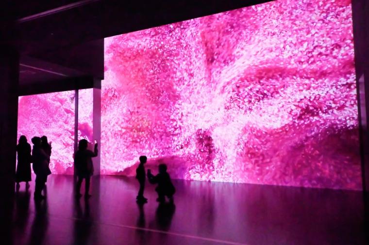 【横浜】話題の没入型ネイチャー施設「ワンダリア横浜」を体験！親子で楽しむ探索ガイド