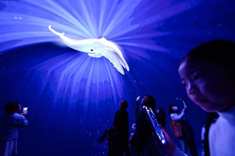 【横浜】話題の没入型ネイチャー施設「ワンダリア横浜」を体験！親子で楽しむ探索ガイド