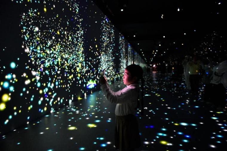 【横浜】話題の没入型ネイチャー施設「ワンダリア横浜」を体験！親子で楽しむ探索ガイド