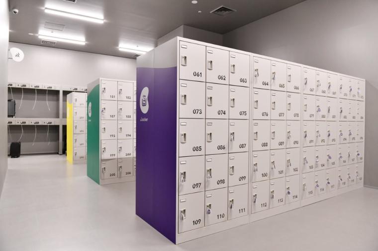 【横浜】話題の没入型ネイチャー施設「ワンダリア横浜」を体験！親子で楽しむ探索ガイド