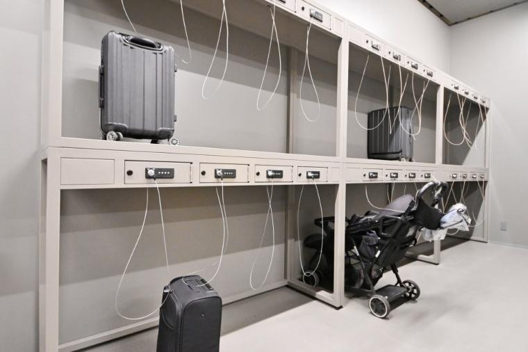 【横浜】話題の没入型ネイチャー施設「ワンダリア横浜」を体験！親子で楽しむ探索ガイド