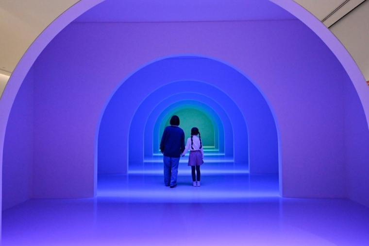 【横浜】話題の没入型ネイチャー施設「ワンダリア横浜」を体験！親子で楽しむ探索ガイド