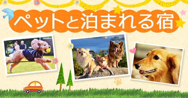 ペットと泊まれる宿