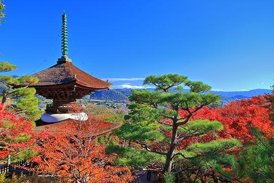 嵐山・常寂光寺