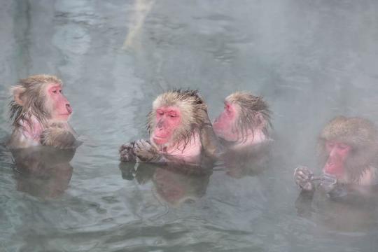 函館市熱帯植物園