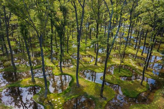 アートビオトープ那須の水庭