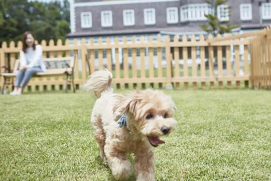 那須温泉　ウェルネスの森　那須