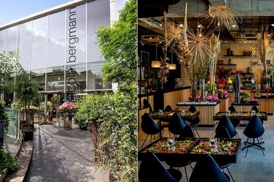 GALLERY nicolai bergmann