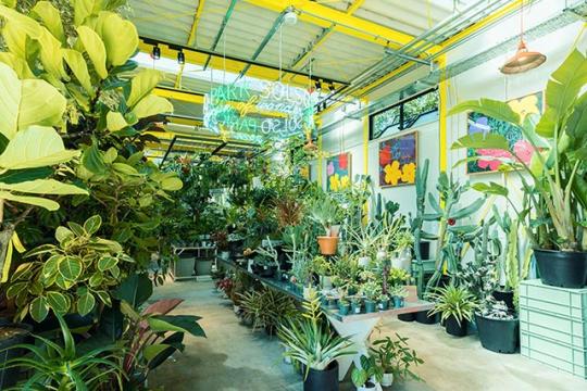 SHARE GREEN MINAMI AOYAMA シェアグリーン南青山