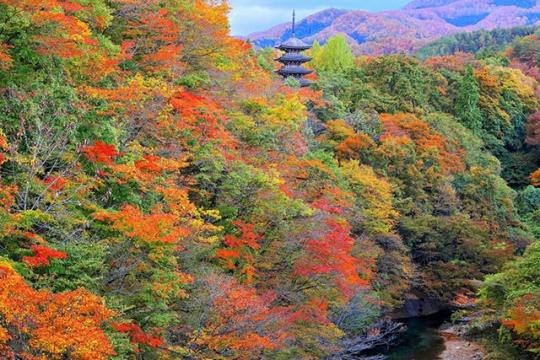 現地スタッフ厳選！作並温泉のおすすめ観光スポット