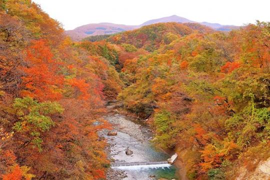 現地スタッフ厳選！作並温泉のおすすめ観光スポット