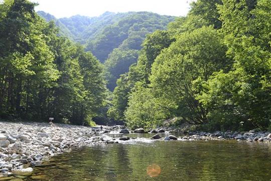 現地スタッフ厳選！作並温泉のおすすめ観光スポット