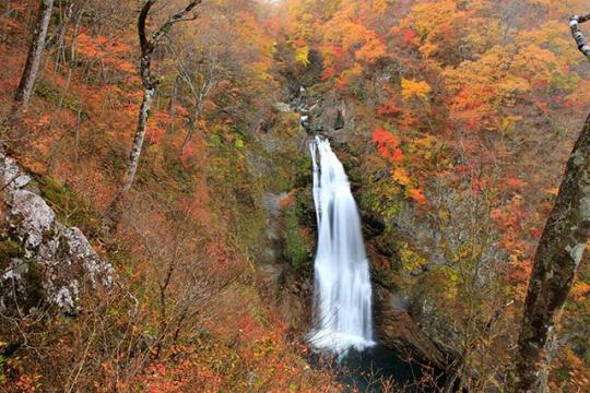 秋保大滝