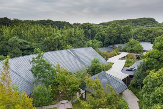 ぶどうの樹　杜の七種