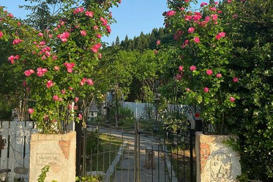 ヴィヴィアン アトリエ