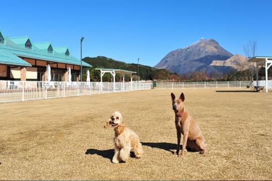 湯布院ガーデンホテル　ドッグラン＆リゾート