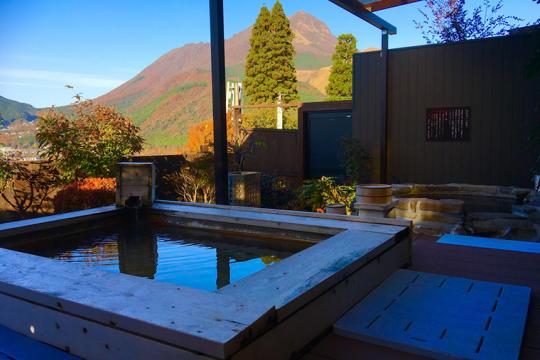 由布院温泉 湯布院山荘 吾亦紅