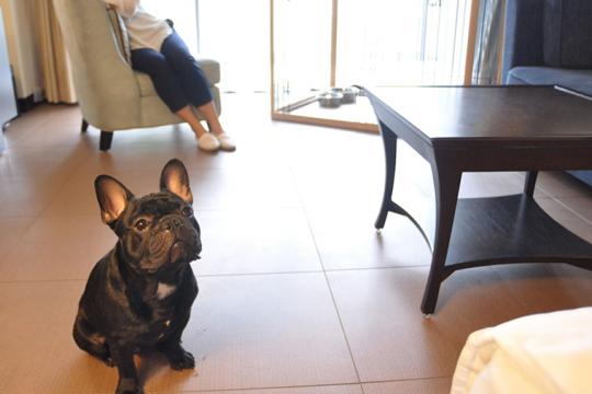 有馬温泉　有馬六彩