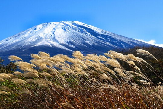 箱根仙石原温泉　万寿屋旅館