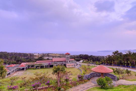 東村村民の森・つつじエコパーク