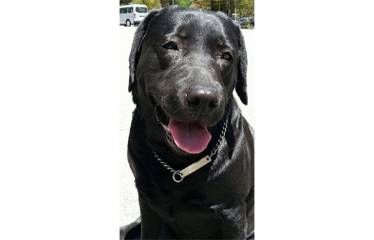 奥日光湯元温泉　奥日光高原ホテル