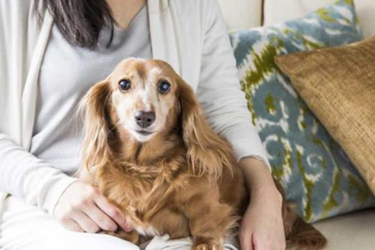 シェラトン・グランデ・トーキョーベイ・ホテル