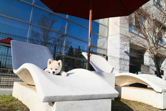 愛犬お宿　伊豆高原