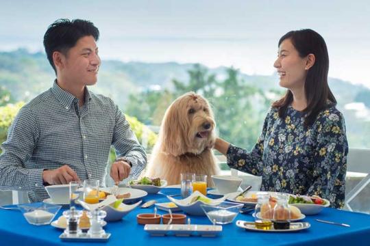 Ｗａｎ’ｓ　Ｒｅｓｏｒｔ　城ヶ崎海岸